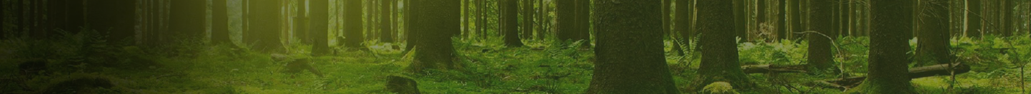 Environment and Health banner